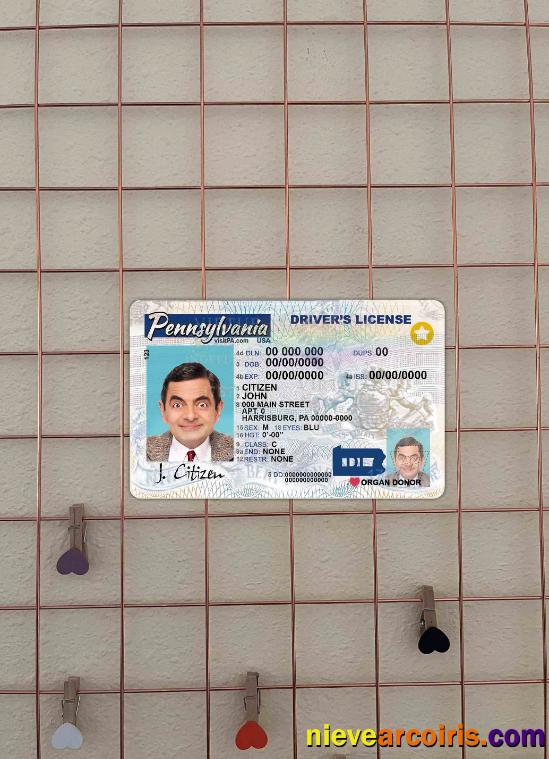 USA Pensylvania driving license photolook